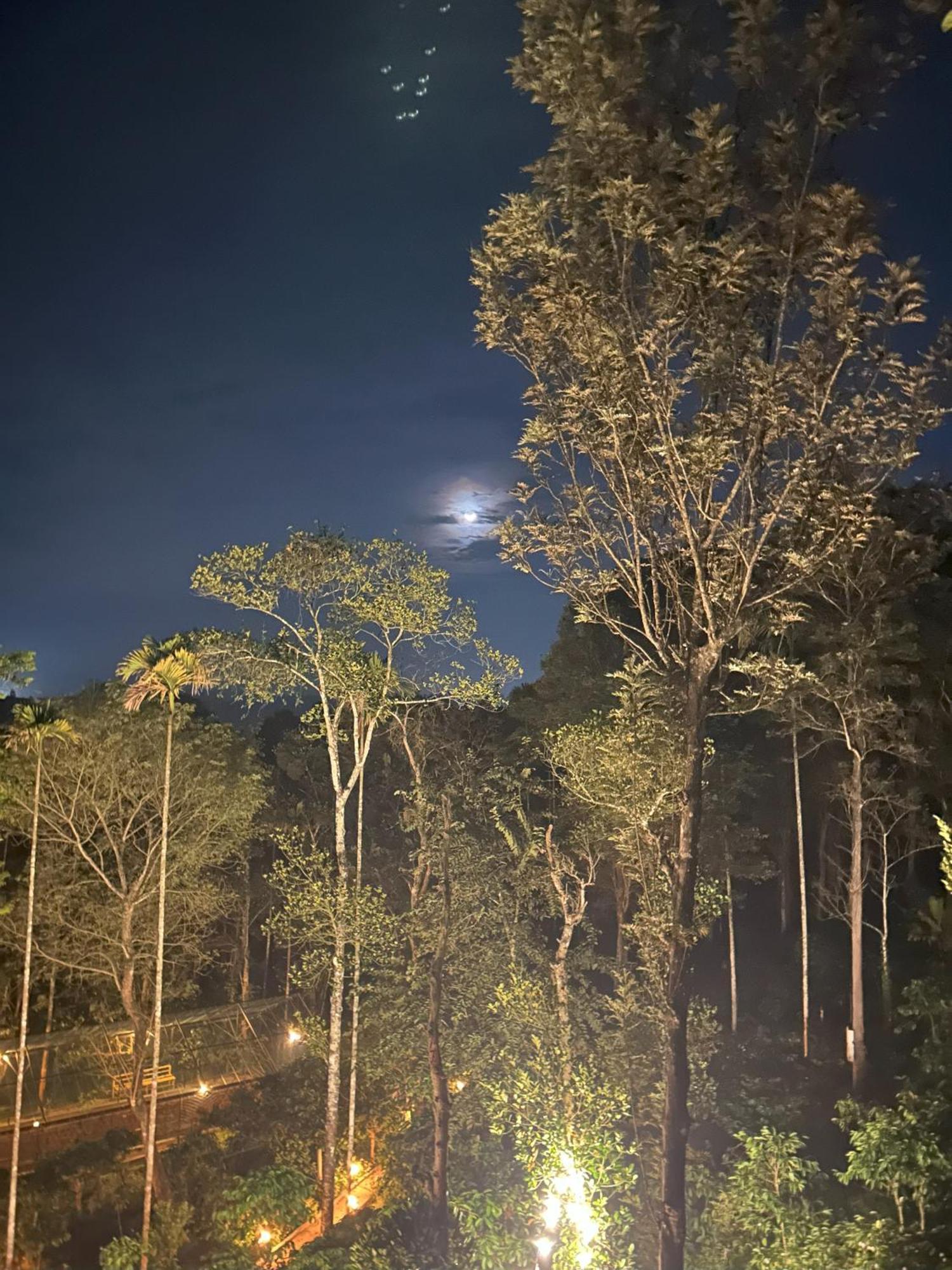 Sylvan Resort Wayanad Exterior photo